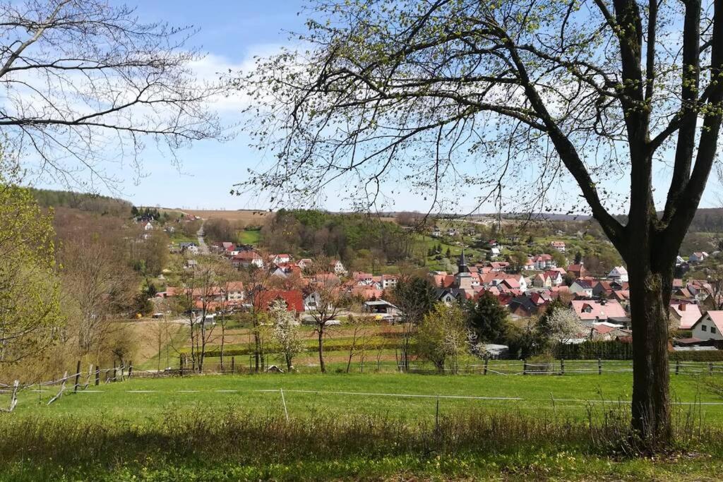 Ferienhaus Zum Kuckuck, Wng 2, Urlaub Im Eichsfeld Kallmerode Exteriör bild