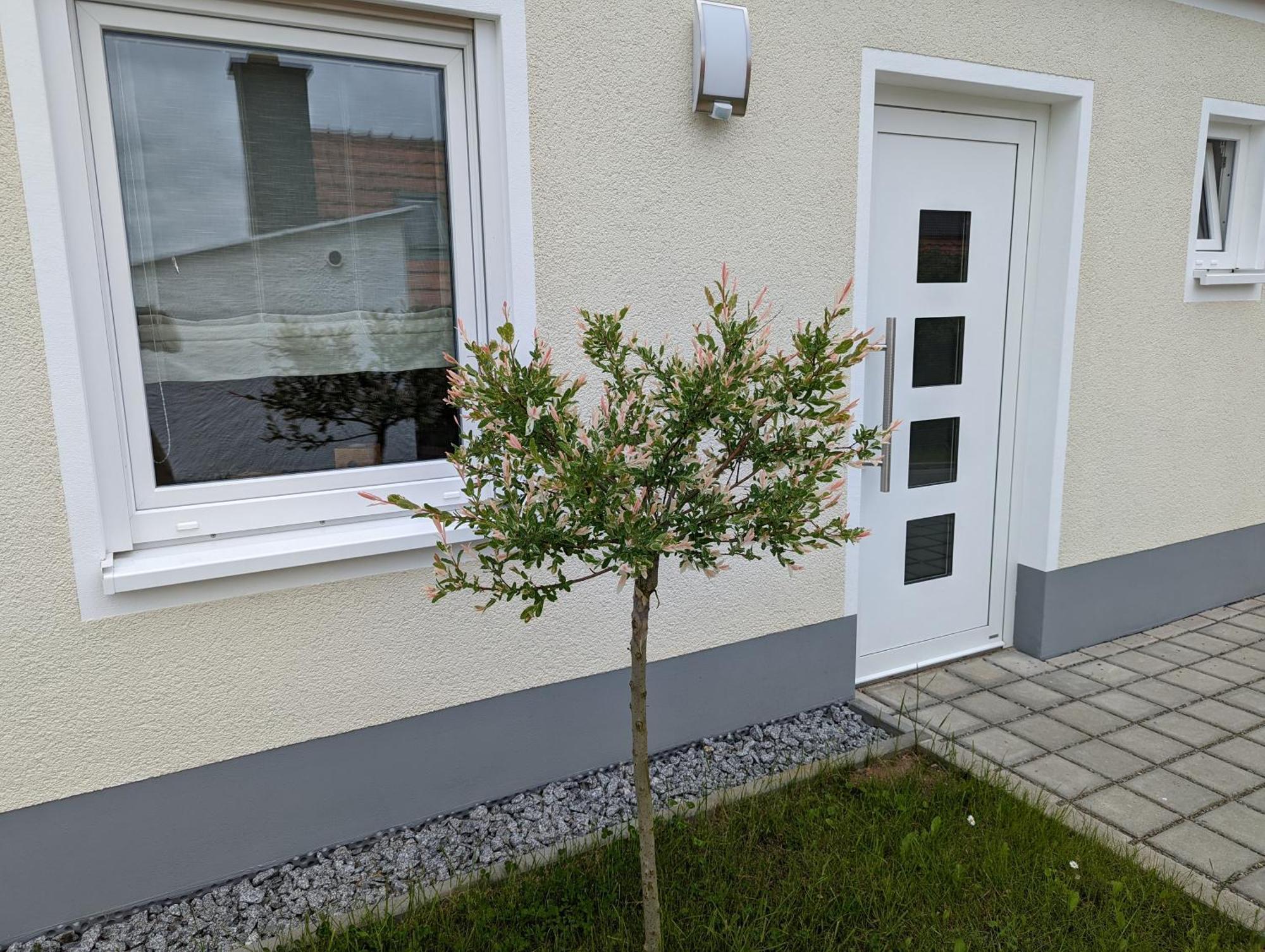 Ferienhaus Zum Kuckuck, Wng 2, Urlaub Im Eichsfeld Kallmerode Exteriör bild