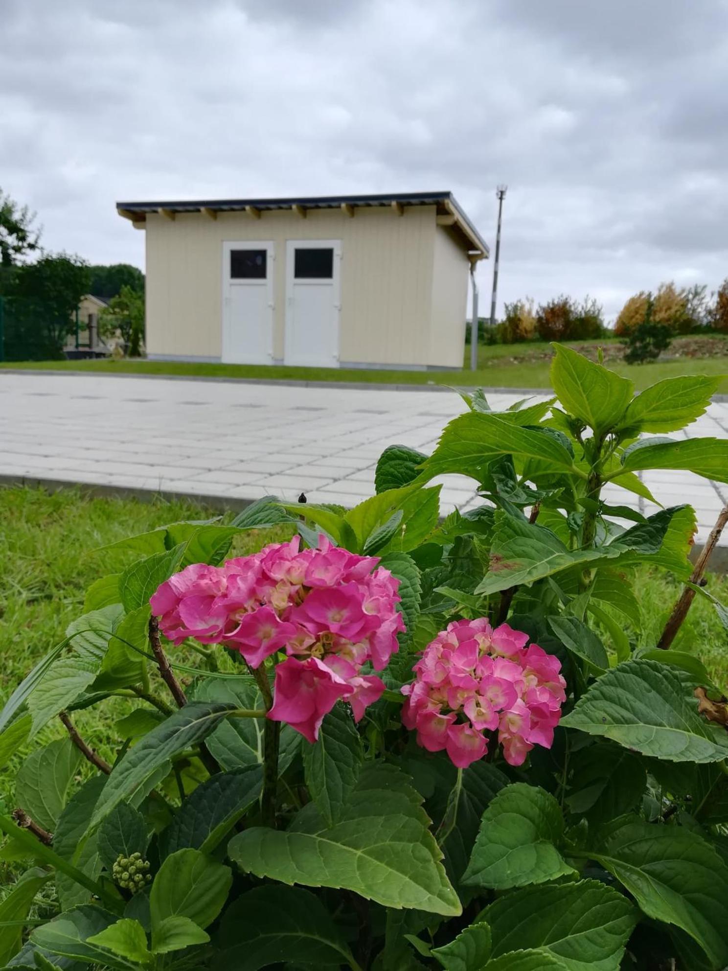 Ferienhaus Zum Kuckuck, Wng 2, Urlaub Im Eichsfeld Kallmerode Exteriör bild